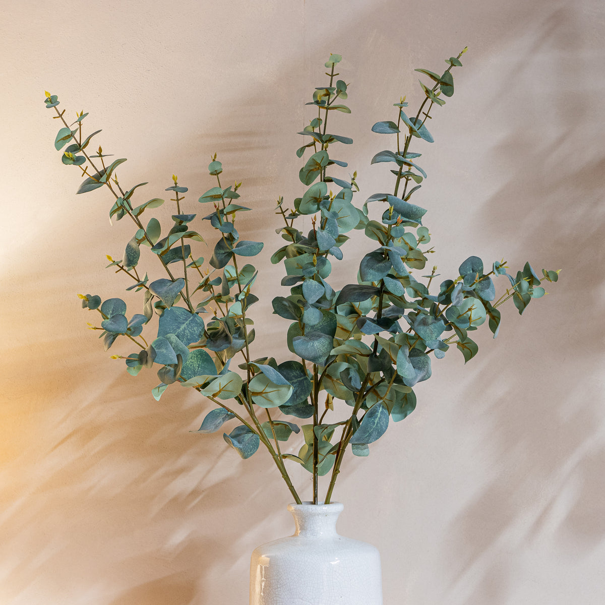 Variegated Eucalyptus