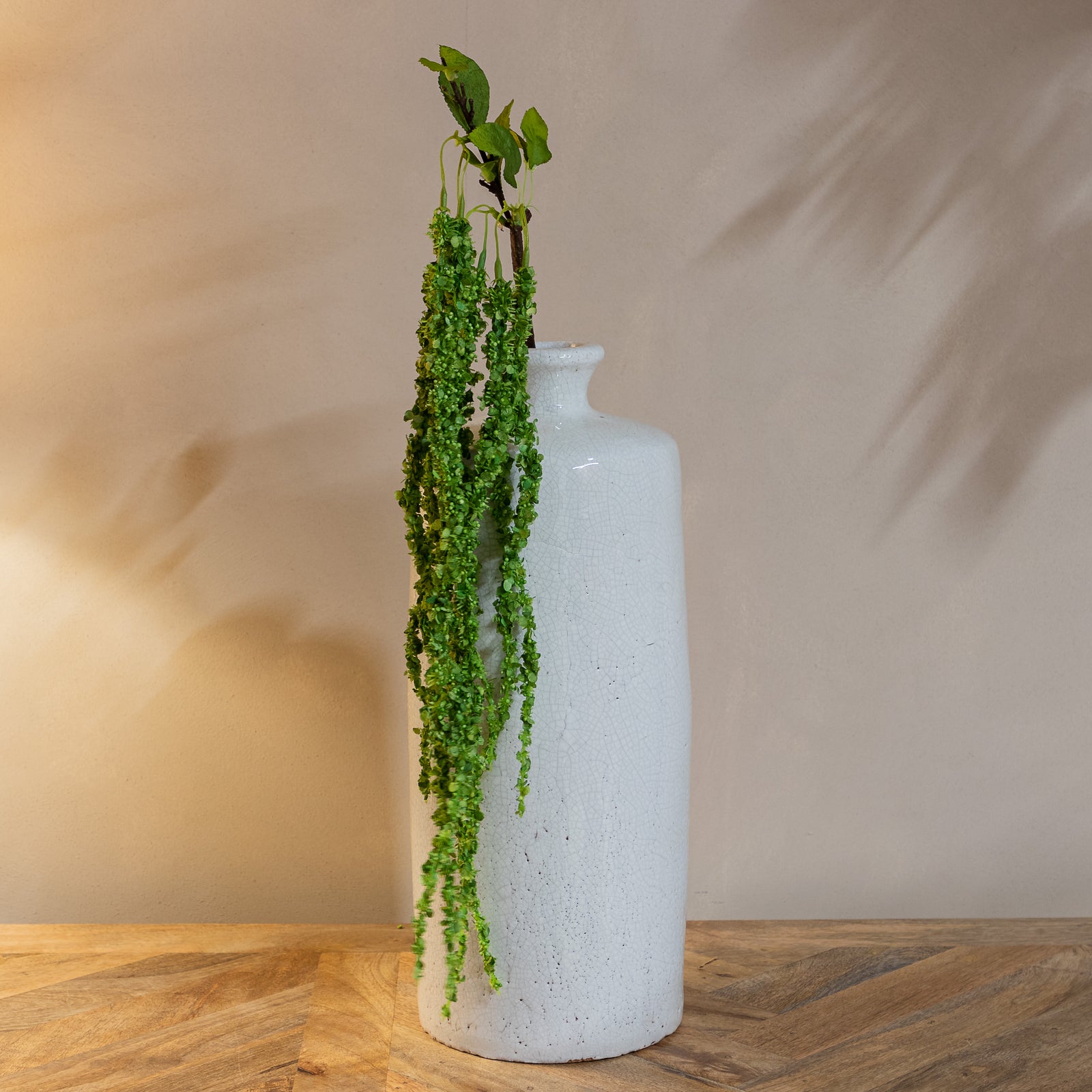 Green Amaranthus