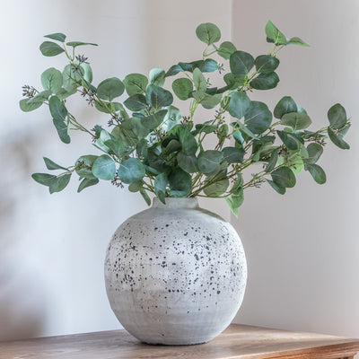 Eucalyptus Stem Spray