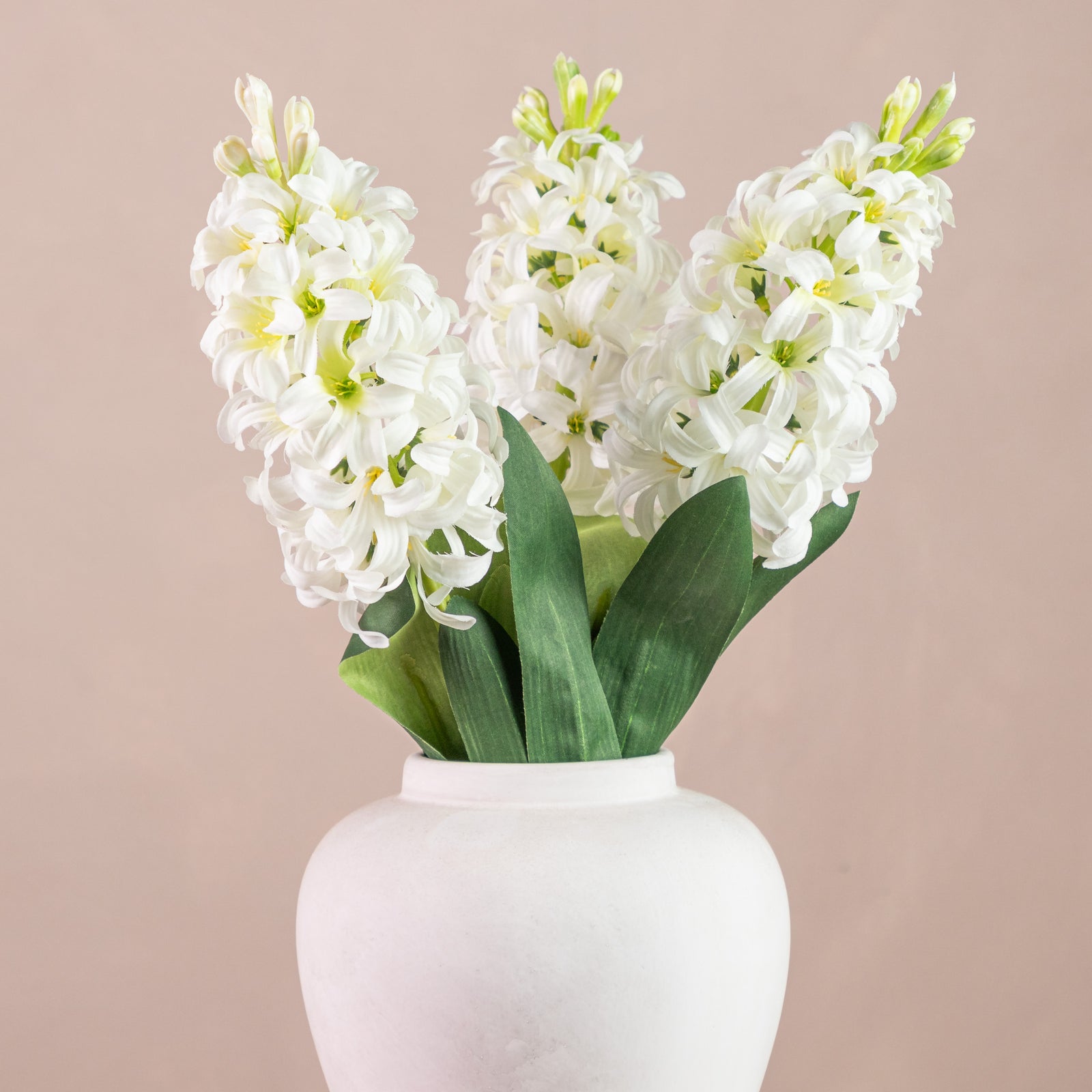 White Hyacinth Stem
