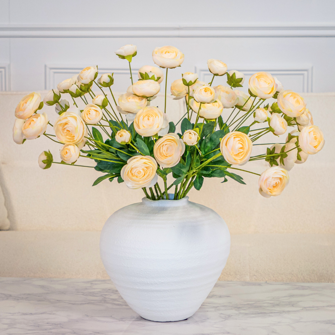 Cream Ranunculus Selection