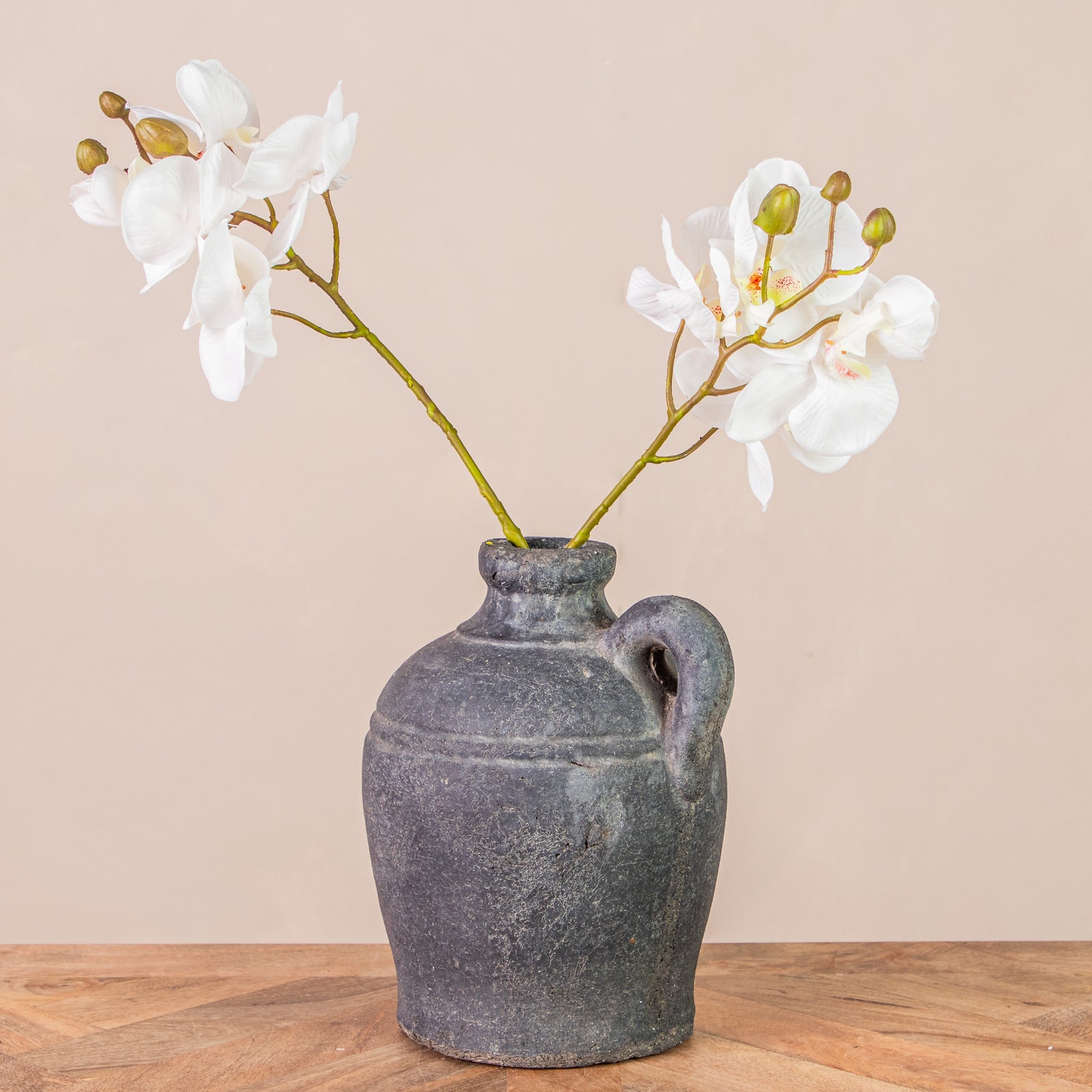 Contemporary Orchids