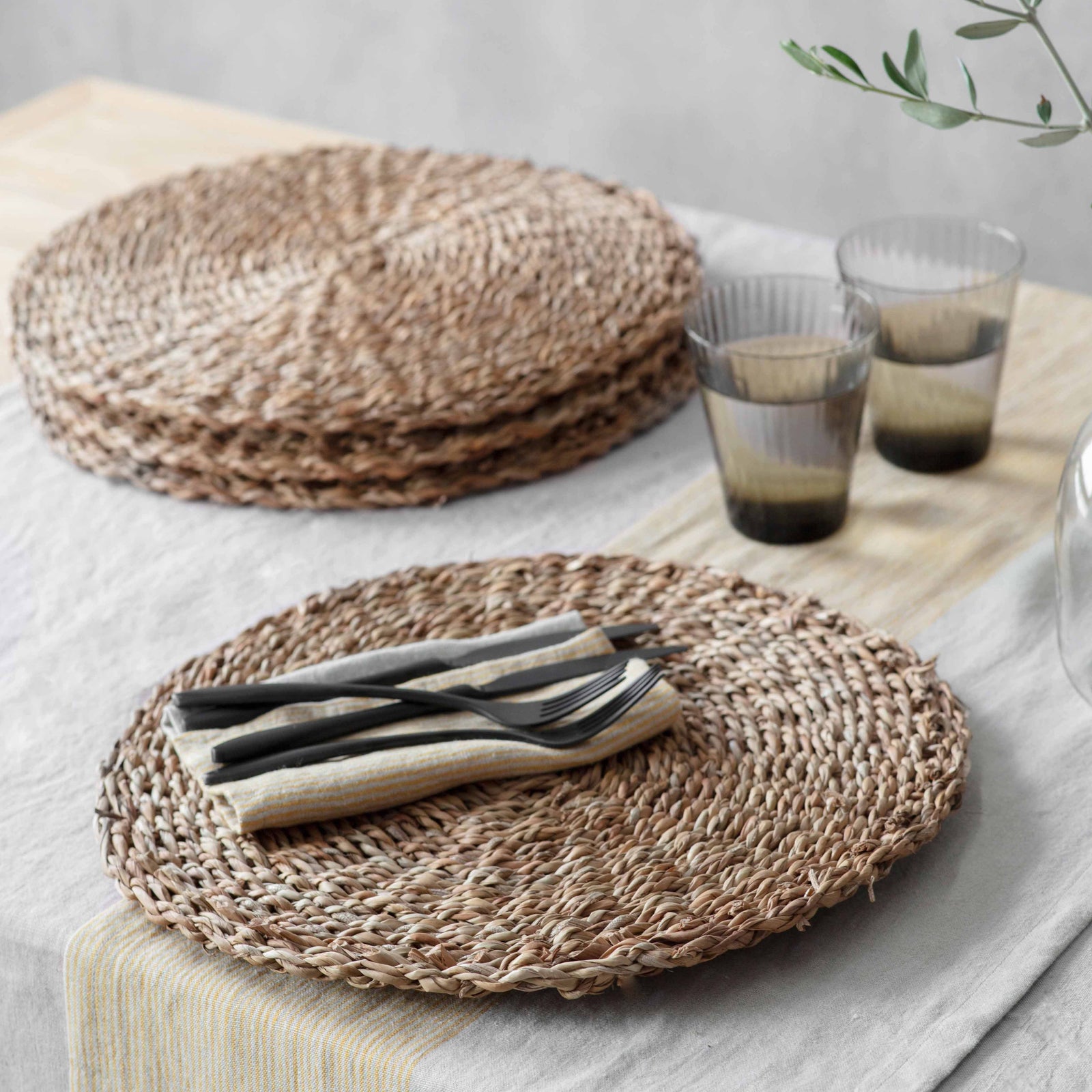 Set of 4 Braiding Placemats