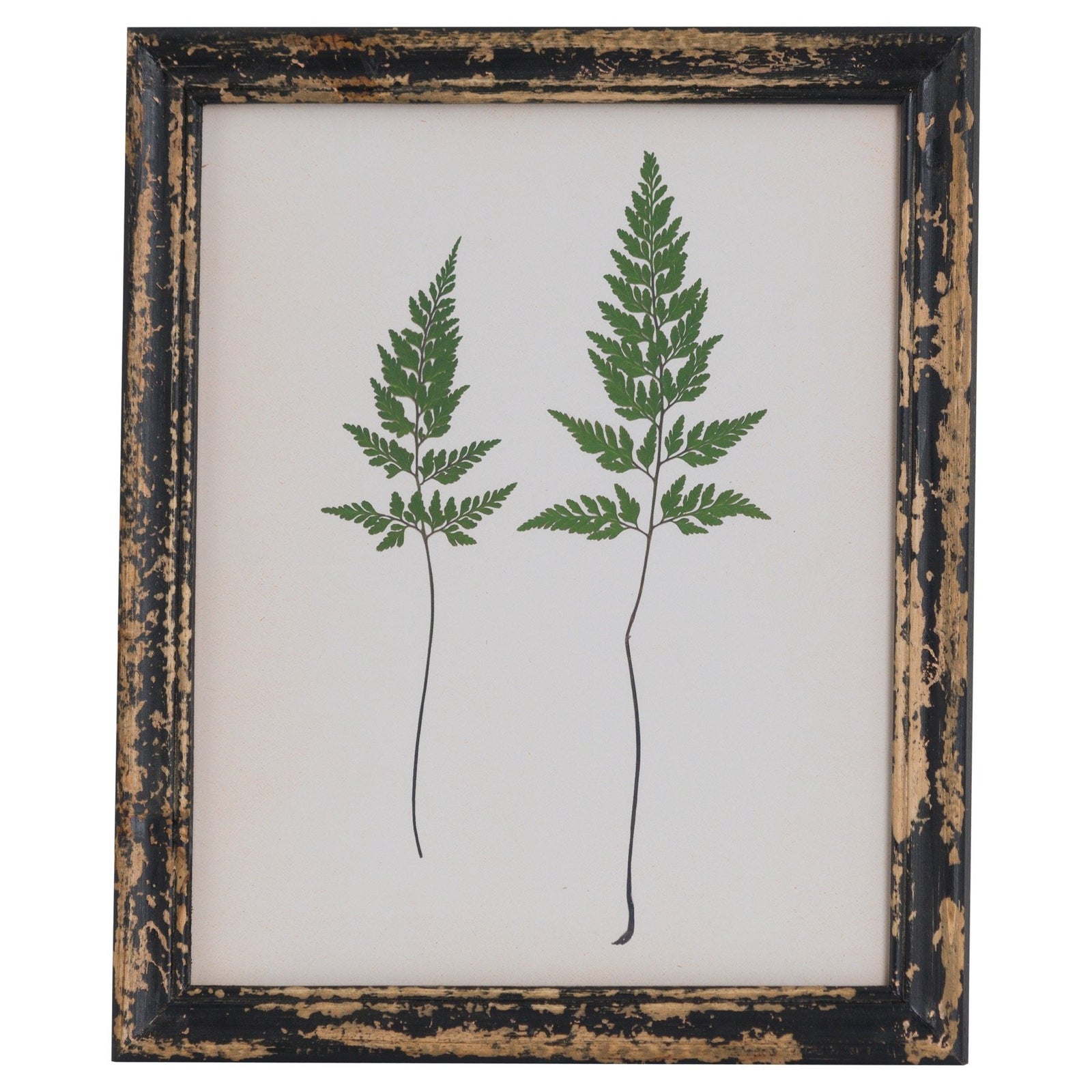 Rustic Framed Botanical Pair of Ferns Picture