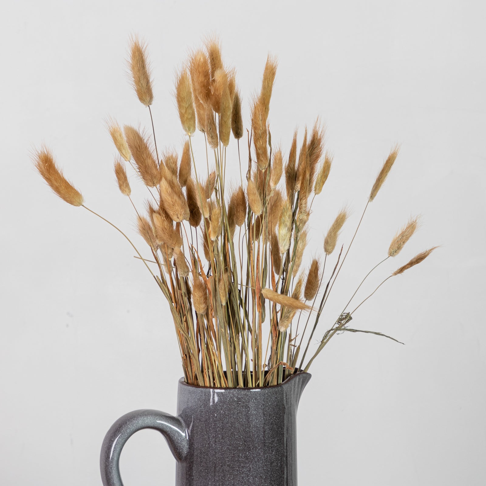 Dried Natural Bunny Tail Bunch Of 40